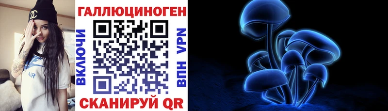 Галлюциногенные грибы Psilocybe  Вязьма 